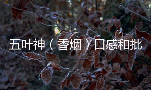 五叶神（香烟）口感和批发价格怎么样？