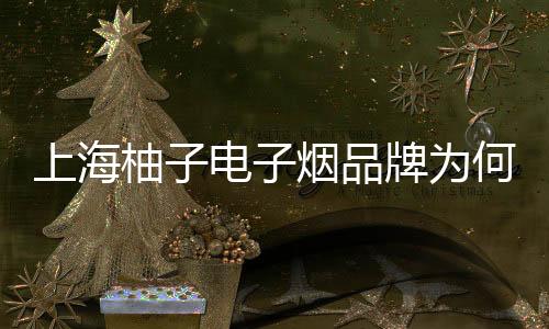 上海柚子电子烟品牌为何在市场中脱颖而出