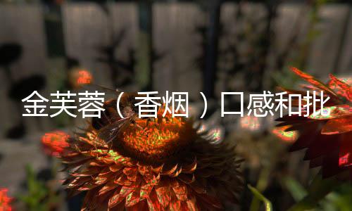 金芙蓉（香烟）口感和批发价格怎么样？