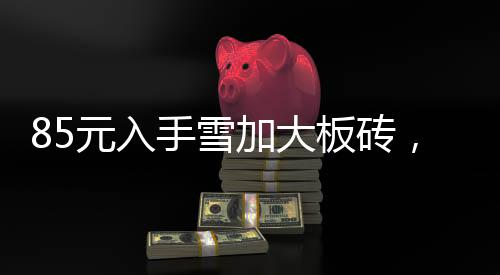 85元入手雪加大板砖，实用耐用超划算